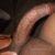 swinger_nr5868