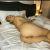 swinger_fb9699