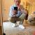 swayer_sq7125_47725