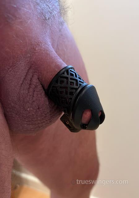 pleasureforever swinger picture