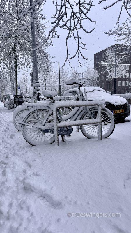 swayer_hu6320 swinger picture