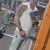 swayer_fy8954