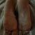 Ca_Swinger