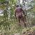 Hangnaked2