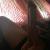 lover_nn5372