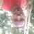 lover_da5296_13440