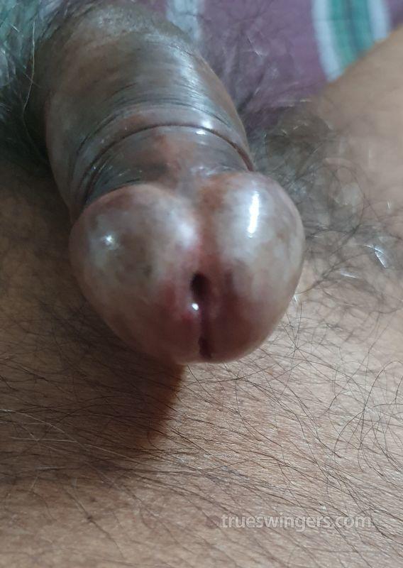 cvalover swinger picture