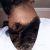 sathimourya1