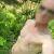 Profind