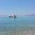 swayer_un2358_49217